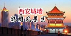 骚逼无遮挡的视频中国陕西-西安城墙旅游风景区
