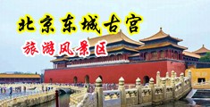 美女跟别人猛操网站中国北京-东城古宫旅游风景区